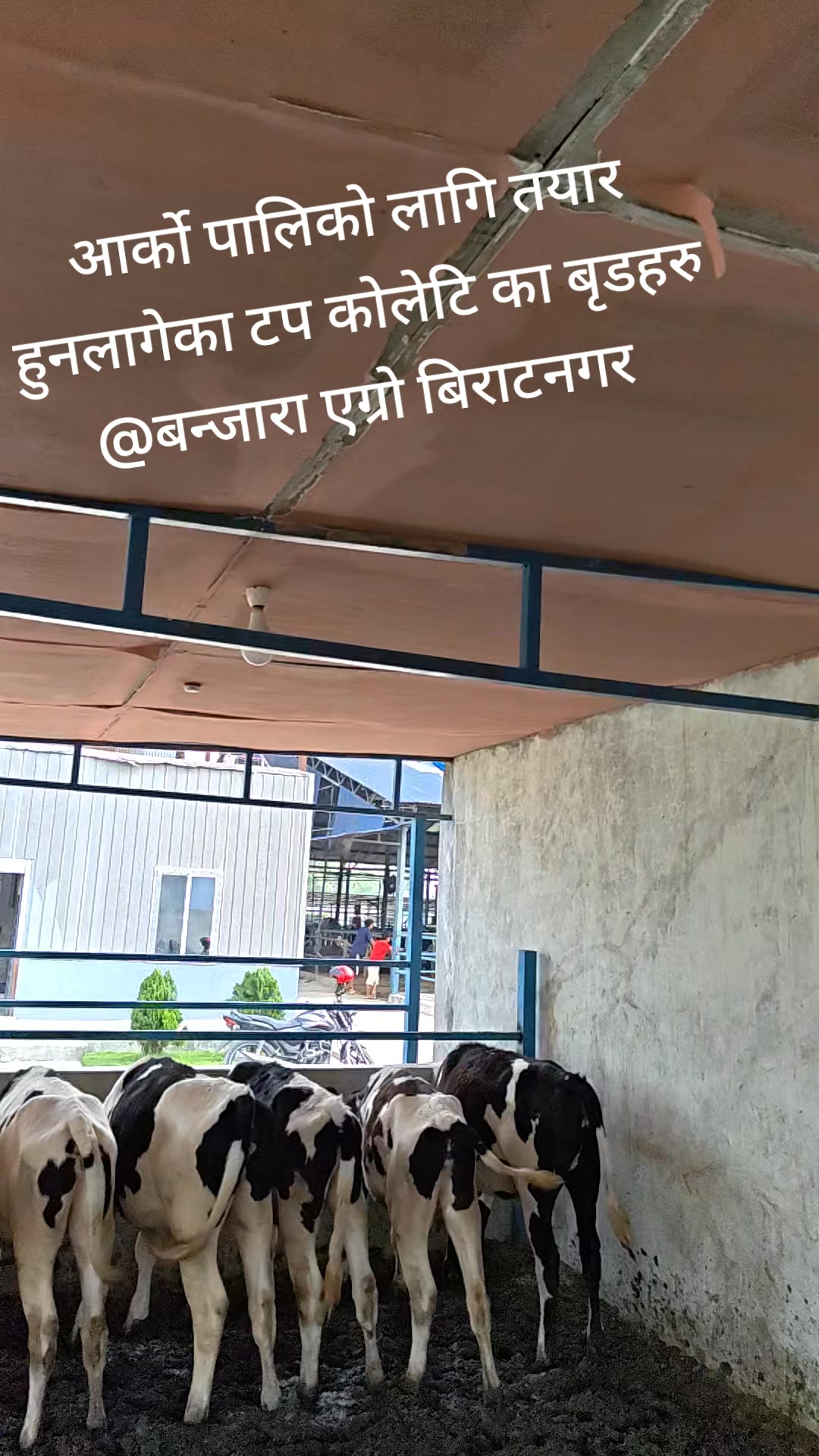 @Banjara Agro