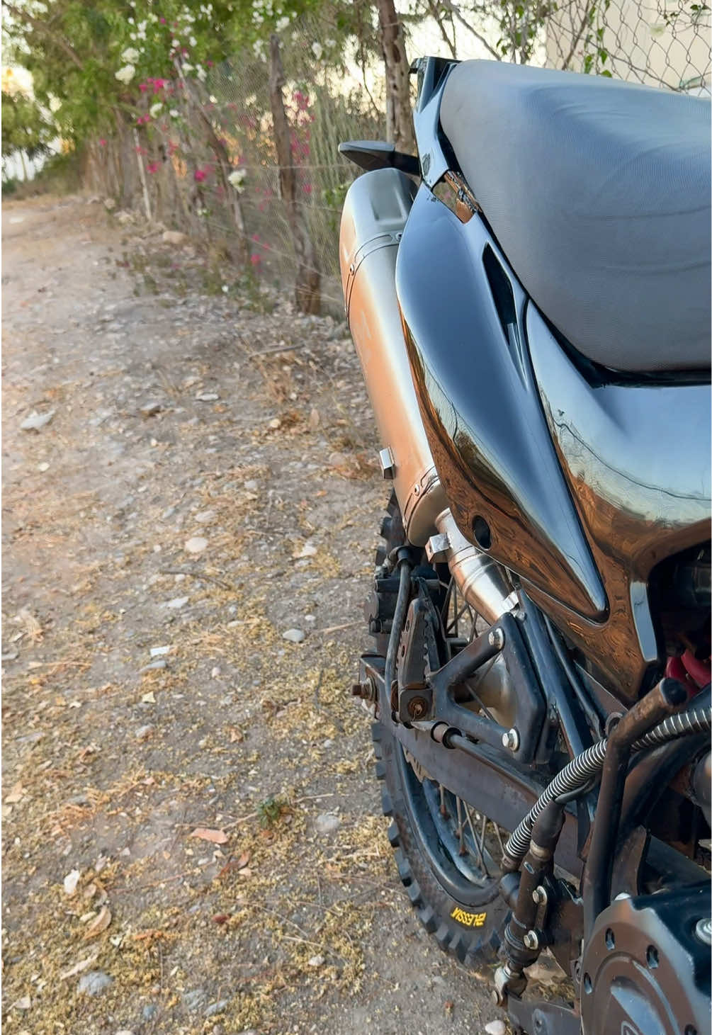 @Roy Biker
