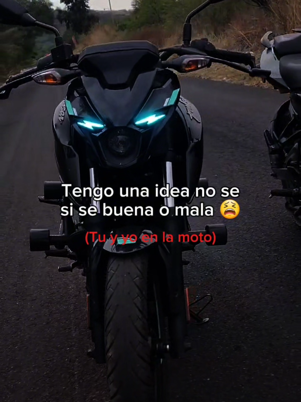 @ᴀ ʟ ᴇ ᴊ ᴏ🔹
