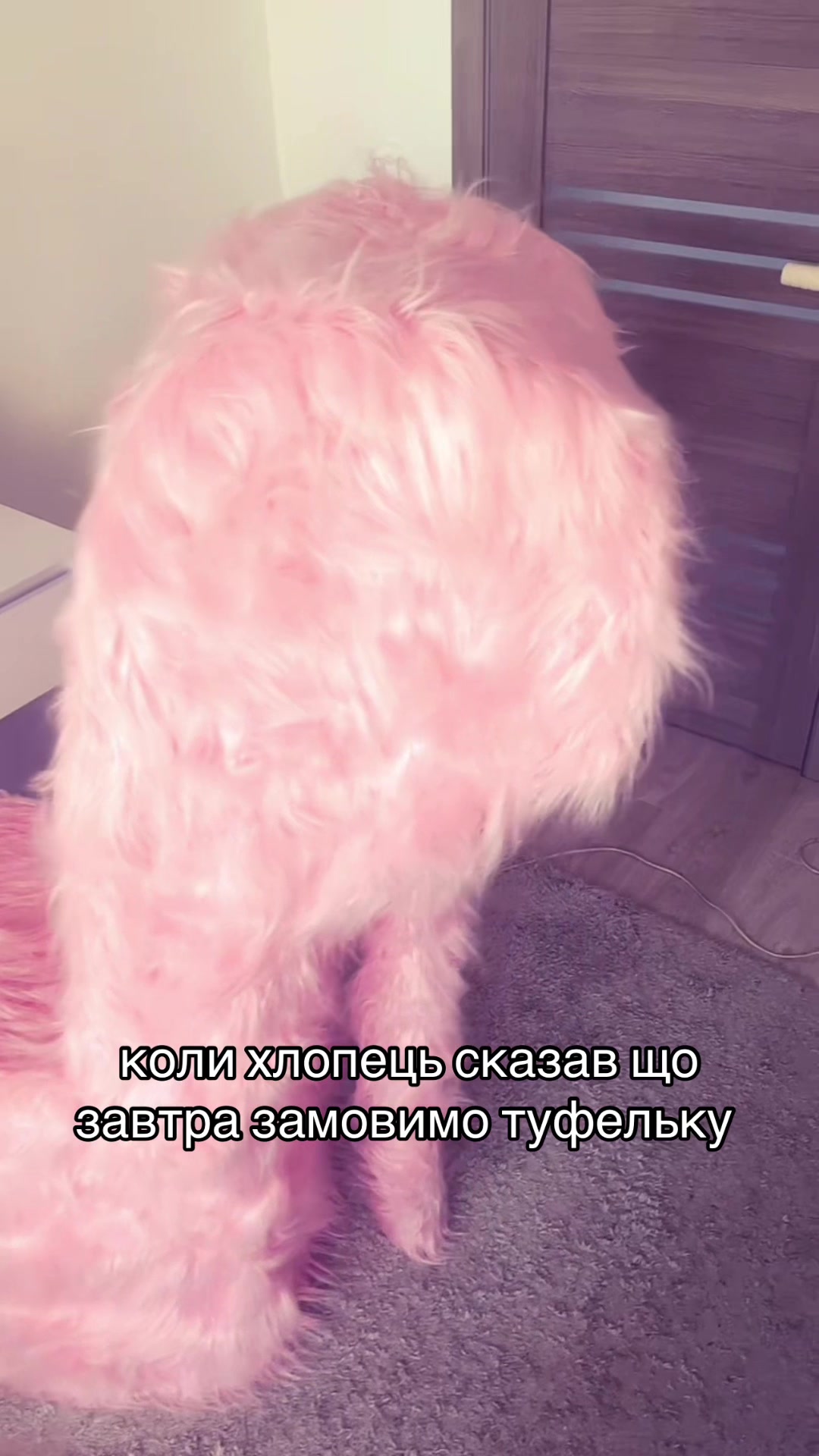 @Miss Heel | Крісла-туфельки