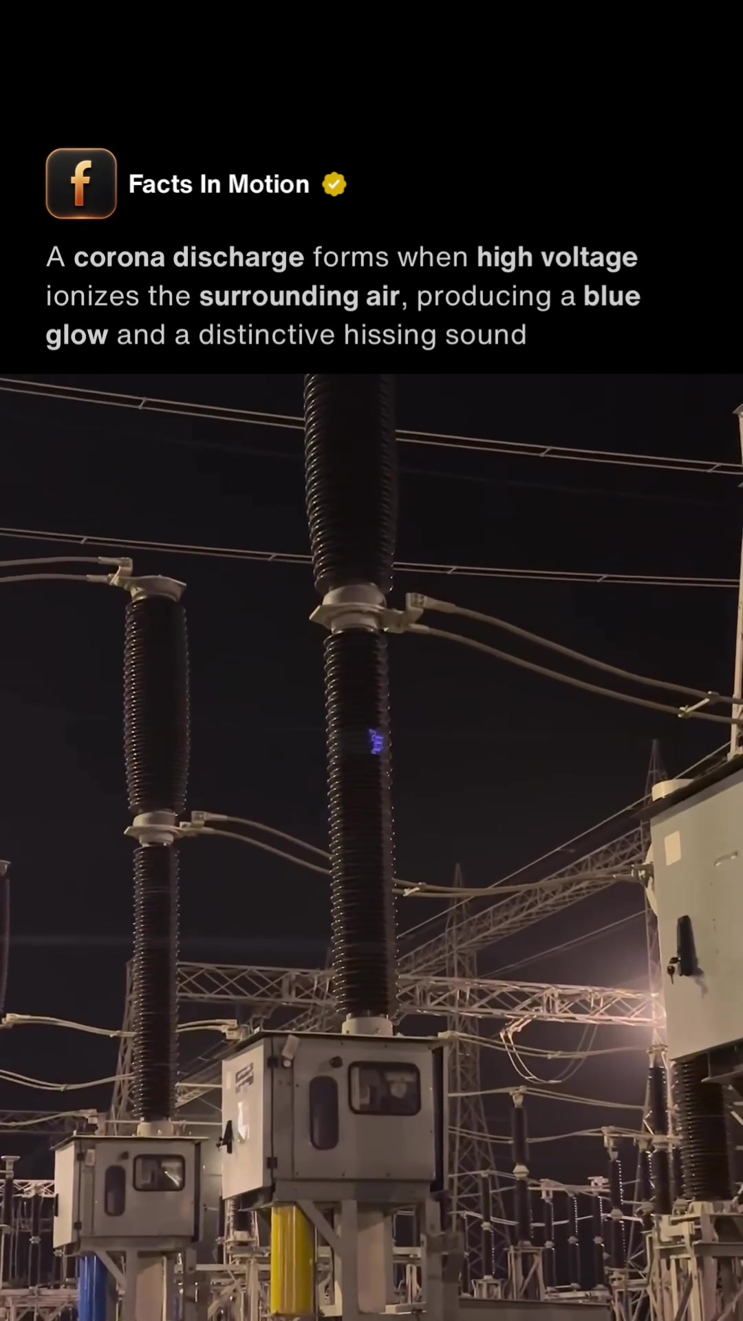 @Facts In Motion