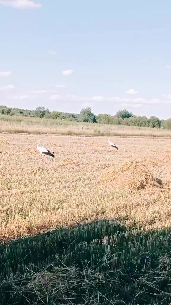 @Olena _1205