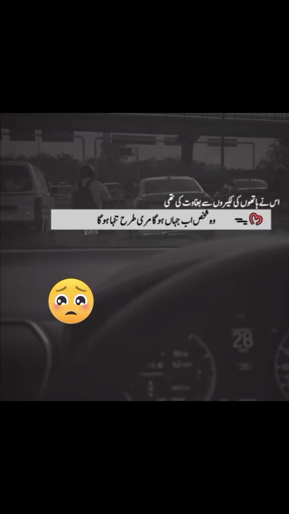@🇸🇦🇸🇦پردیسی بابو 🇵🇰