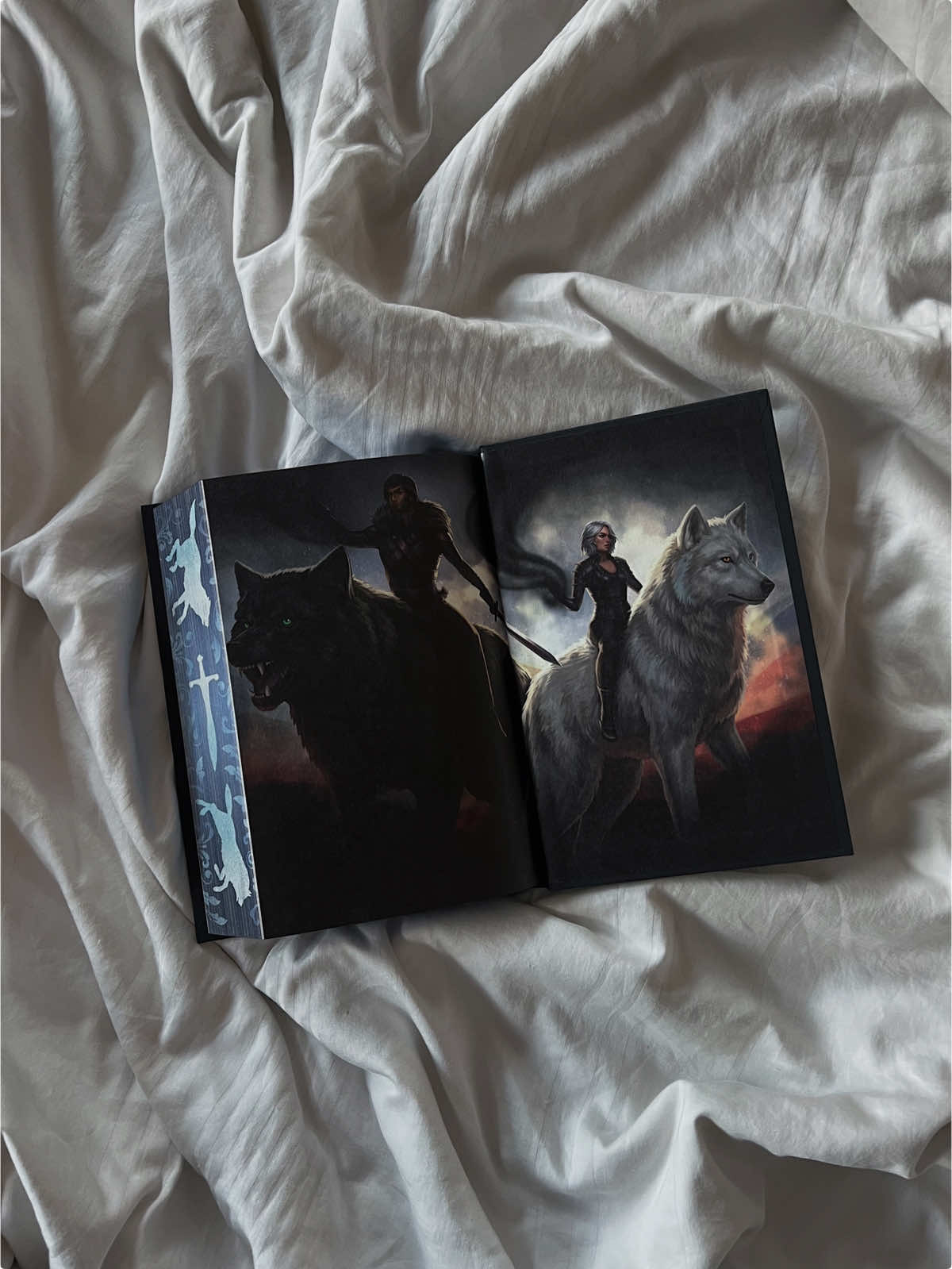 @bookswithsns