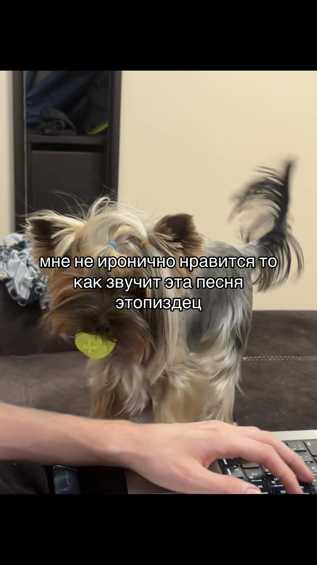 @тгк: марисова.