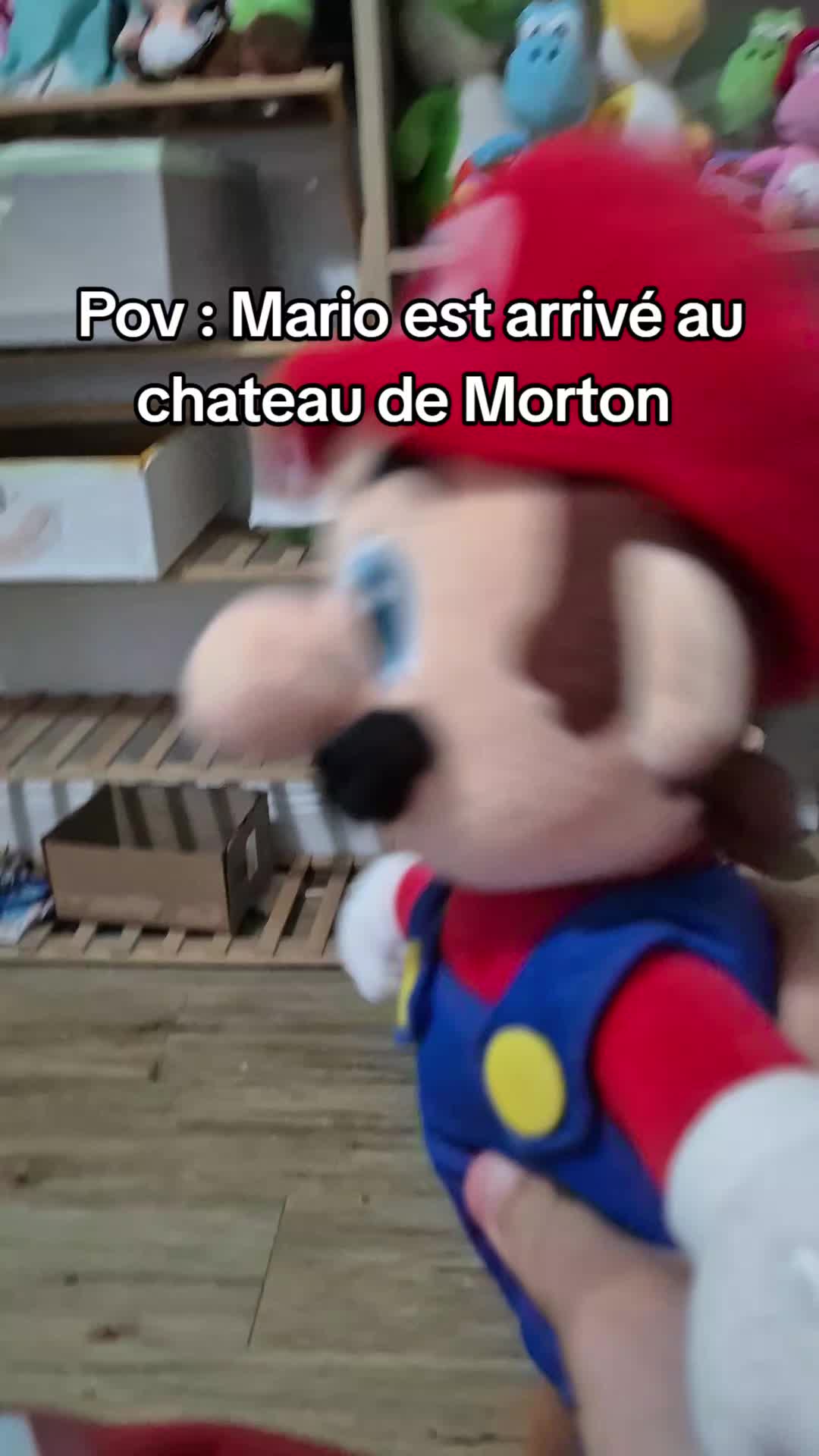 @peluchemario64