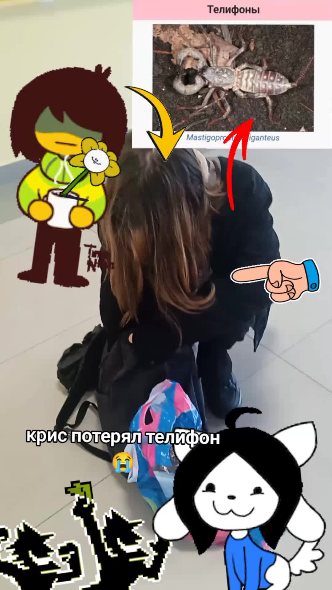 @Спадина