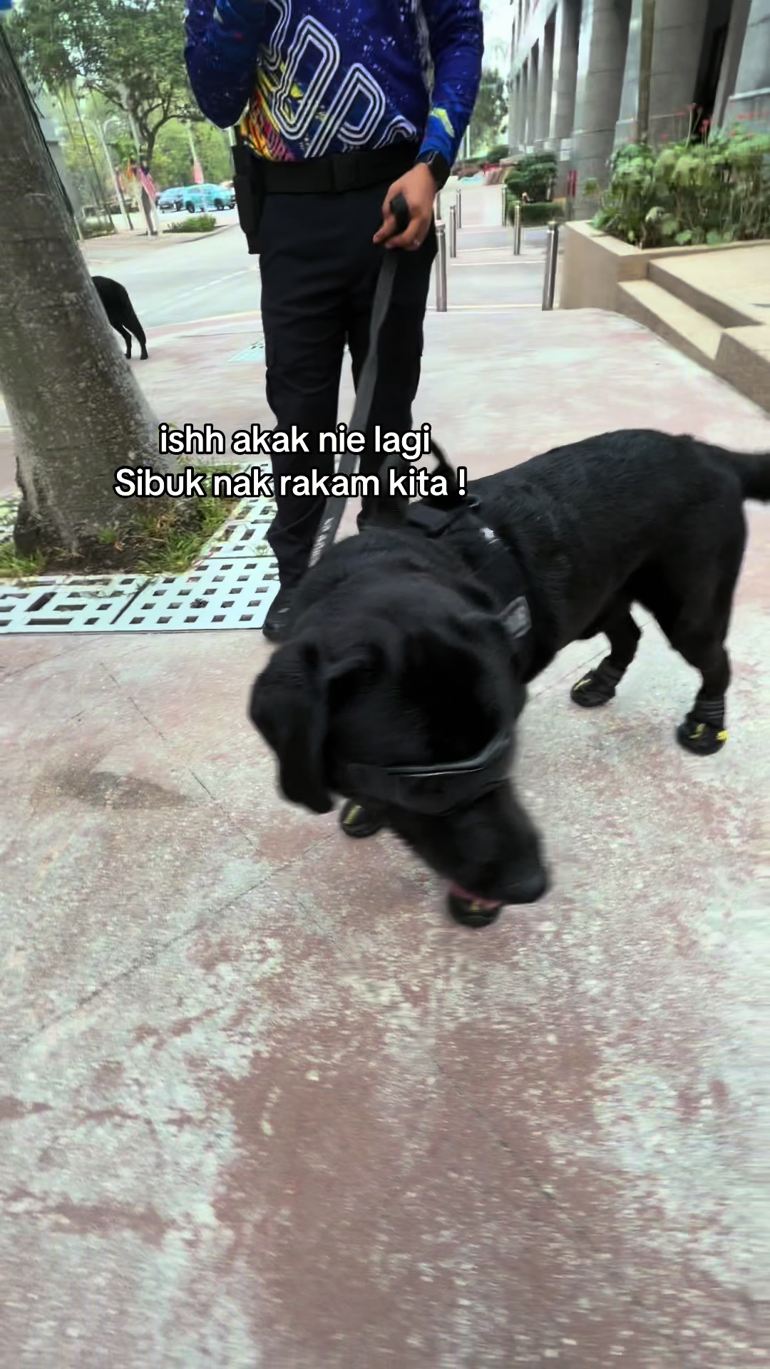 @kakakreben