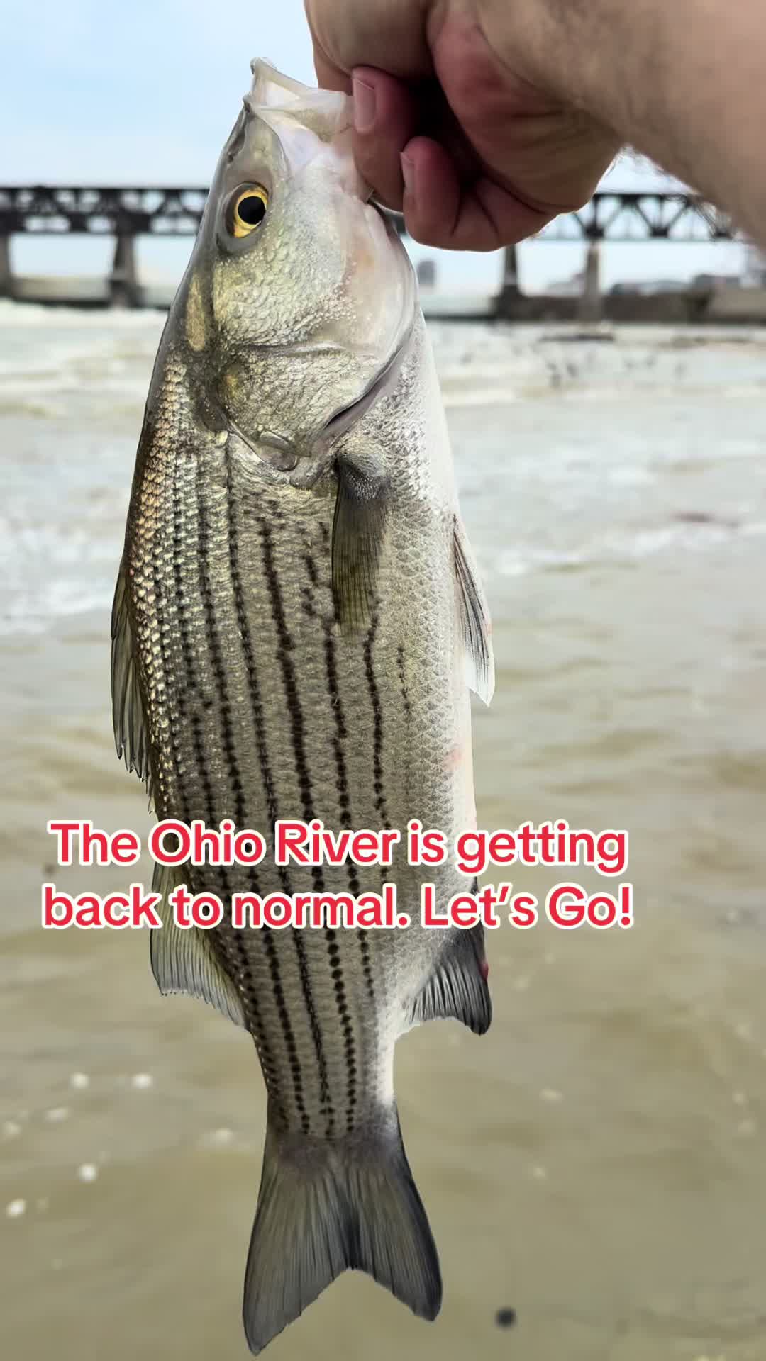 @Kentucky&ensp;Fishing