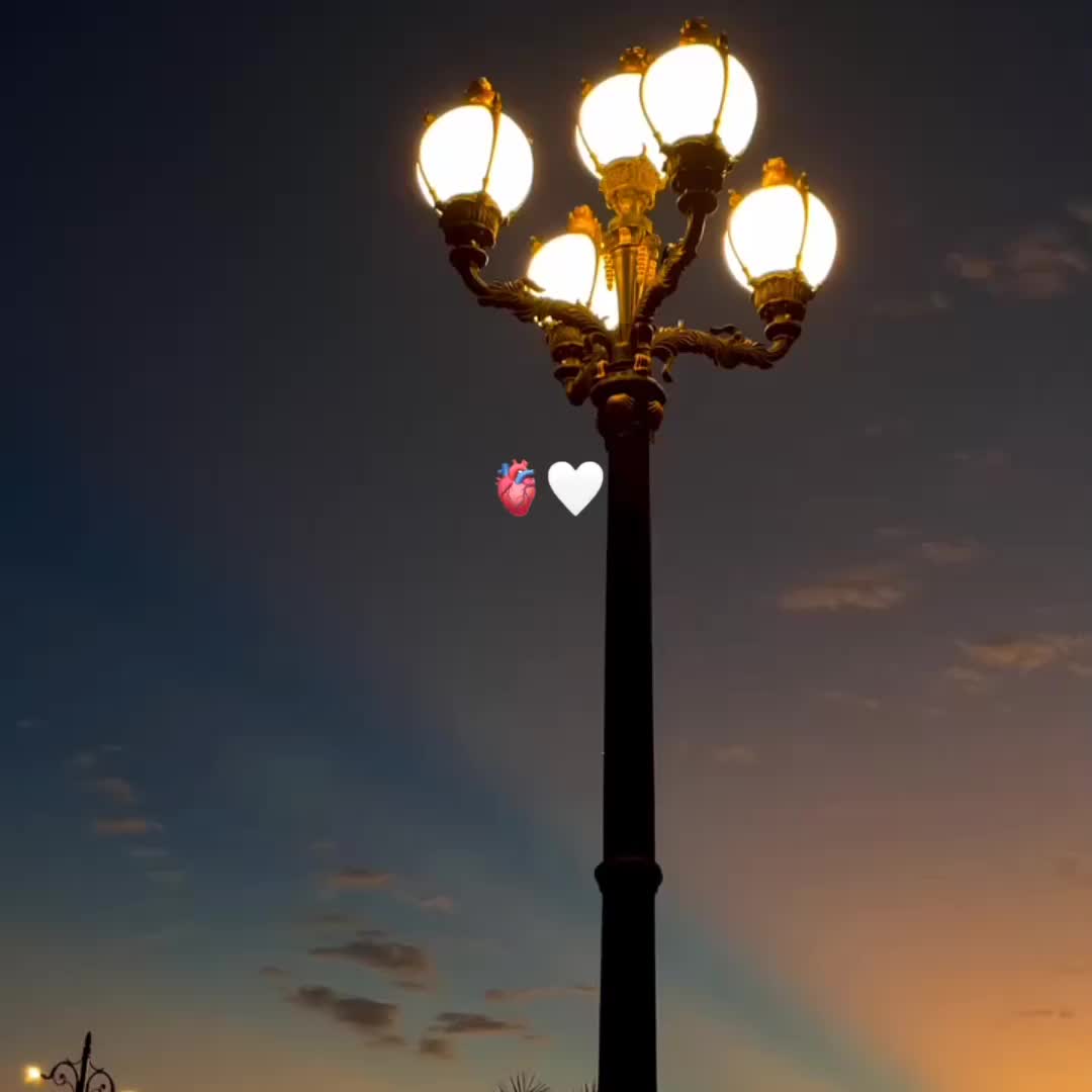 @Elisa or lisa💗