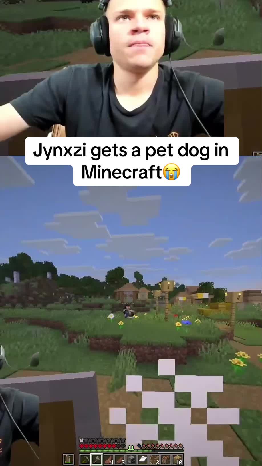 @xelioclipped