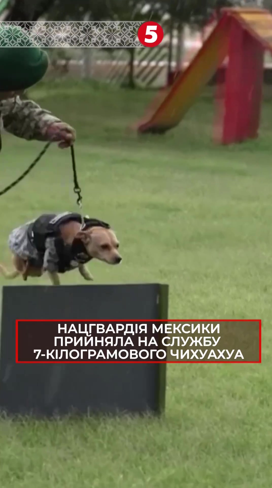 @5 канал 🇺🇦