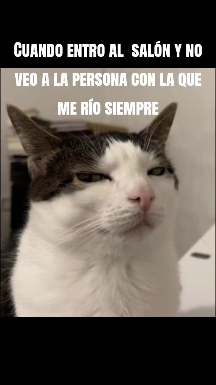 @Enrique Said