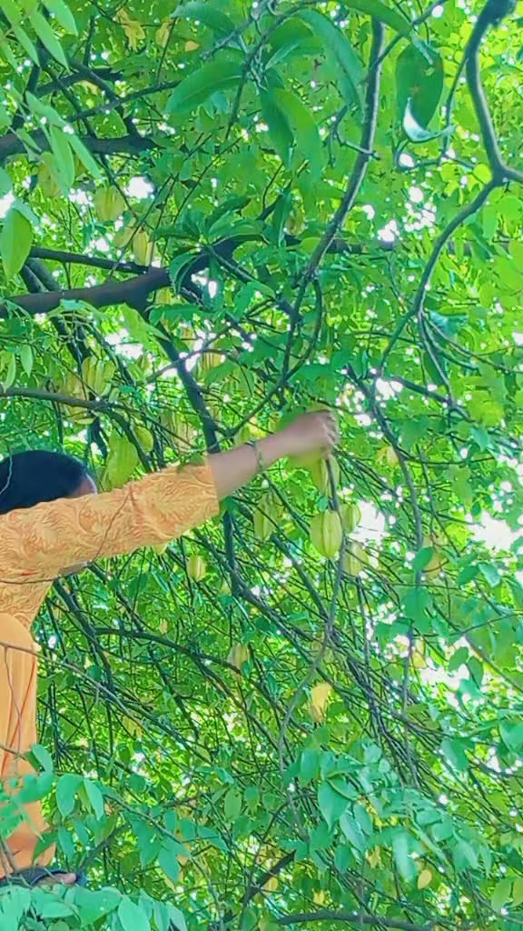 @bishnusharma123