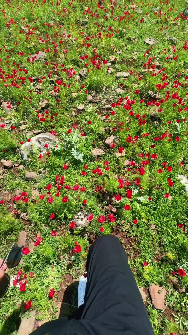 @ÇINAR
