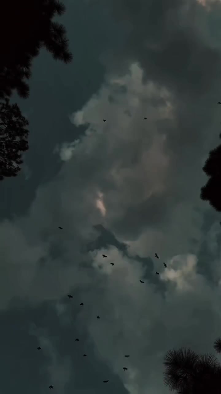 @𝕾𝖙𝖗𝖊𝖓𝖌𝖙𝖍 🎭