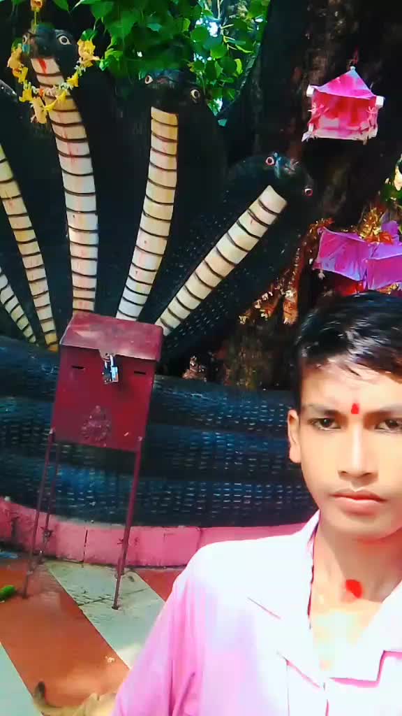 @🏵️🥀paswan __king🥀🏵️