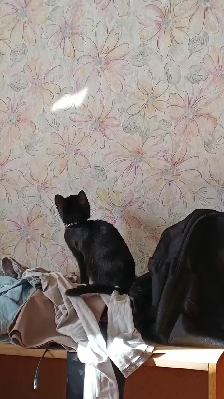 @Алинка😅❤