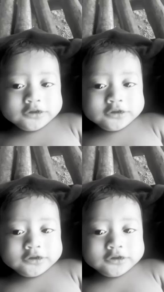 @rejion