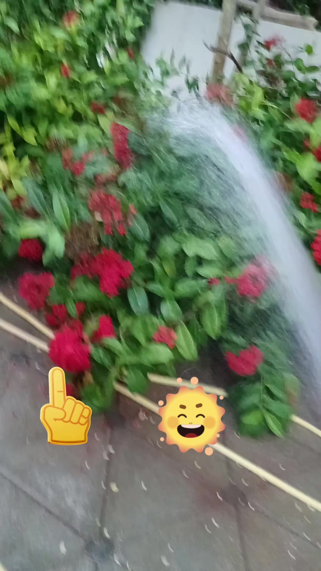 @🇱🇰꧁꧂මාලිඇතුගල්පුර🙏᭄𝄡ᬊᬁ🇴🇲