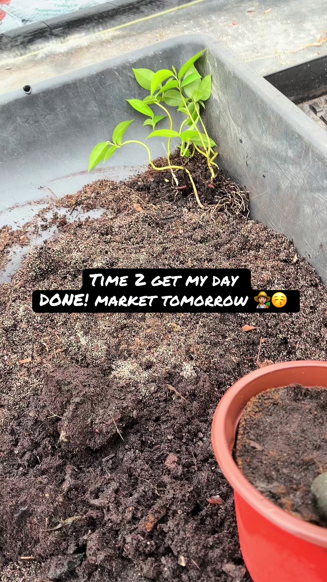 @gobigadventuresfarm