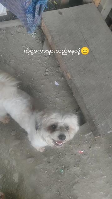 @Myo Htun May๐ธ