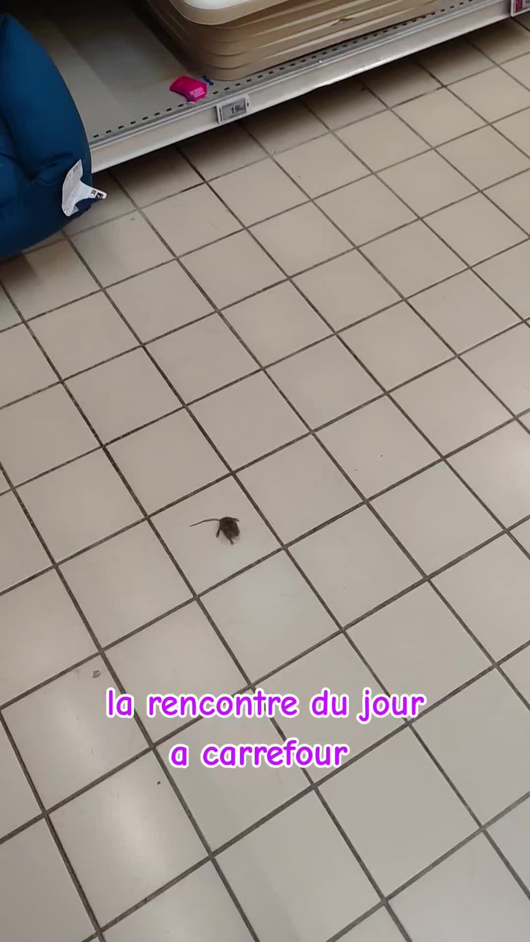 @Mel