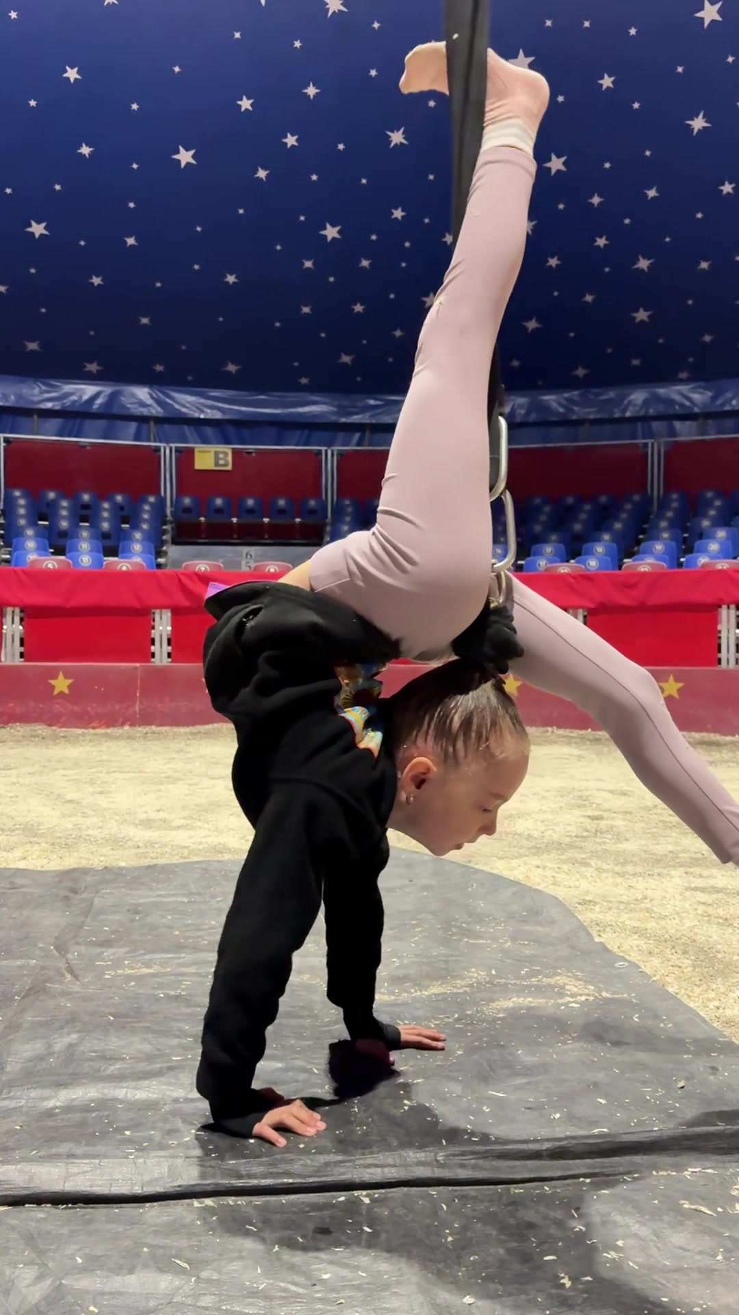 @wow_family_circus