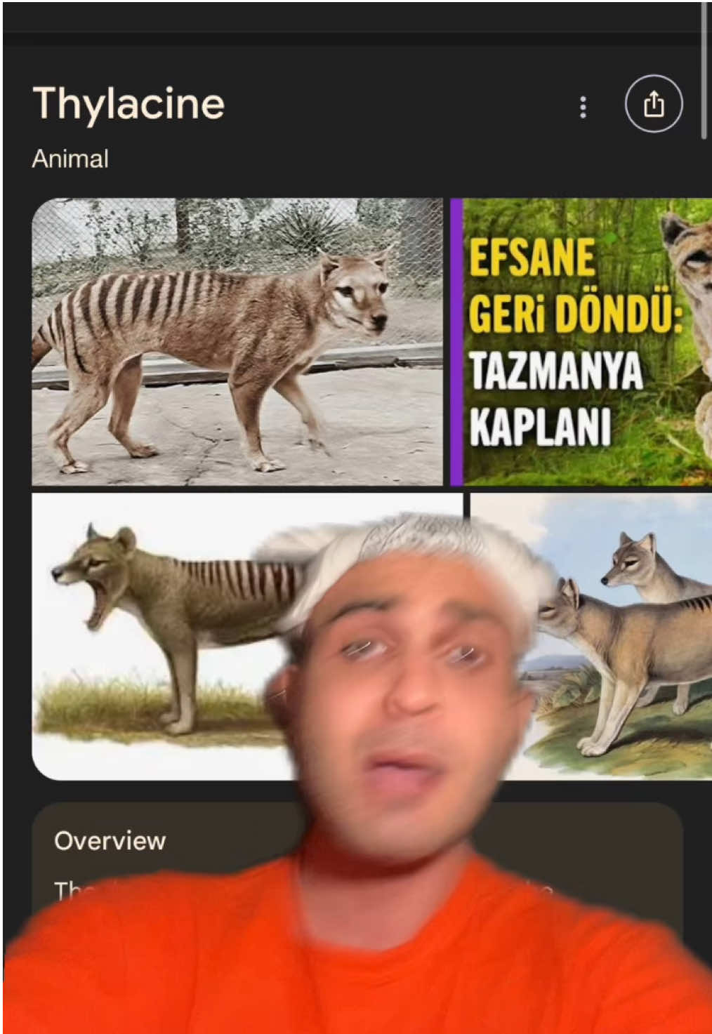 @Umut Acar