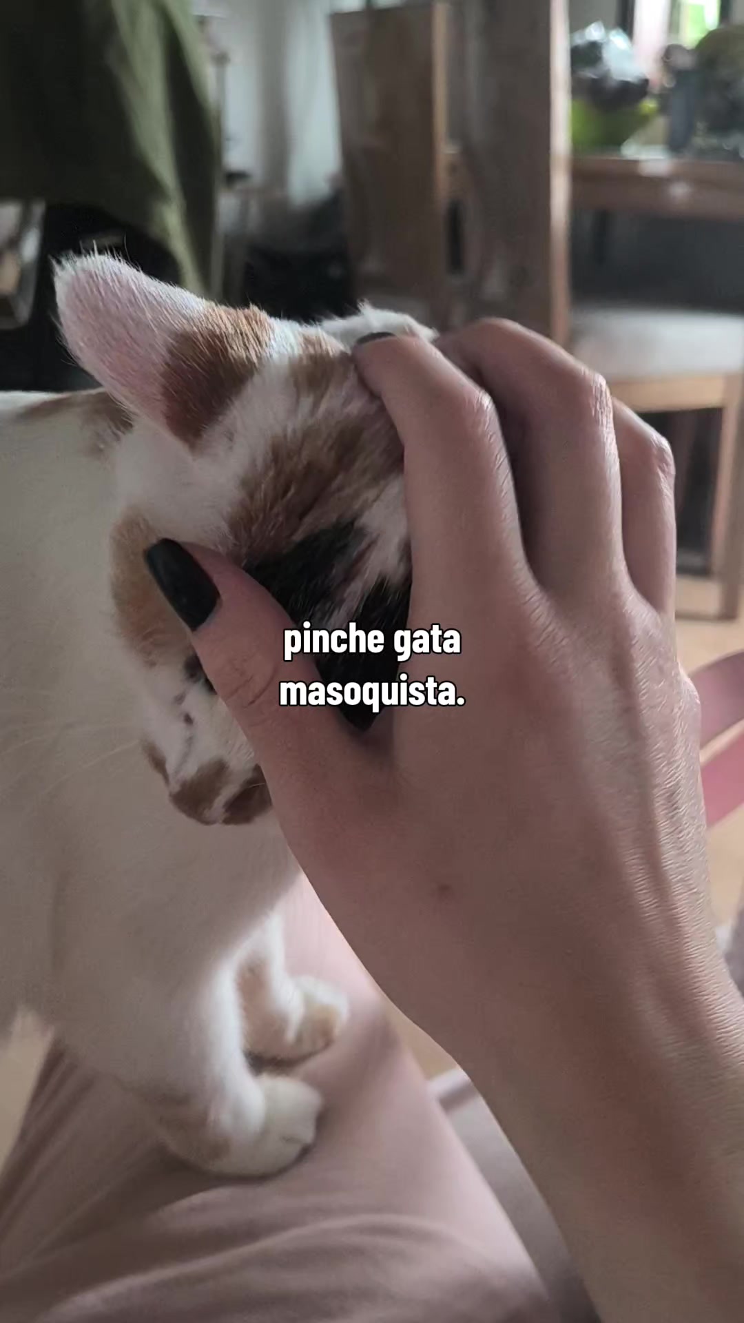 @Danew
