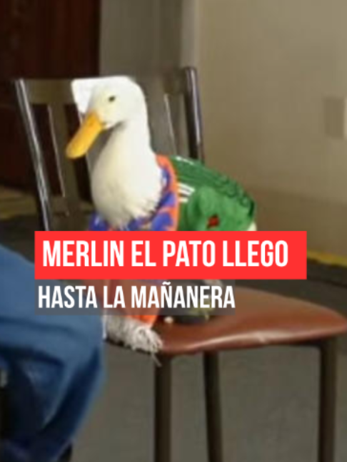 @As&iacute; Sucede Le&oacute;n Noticias