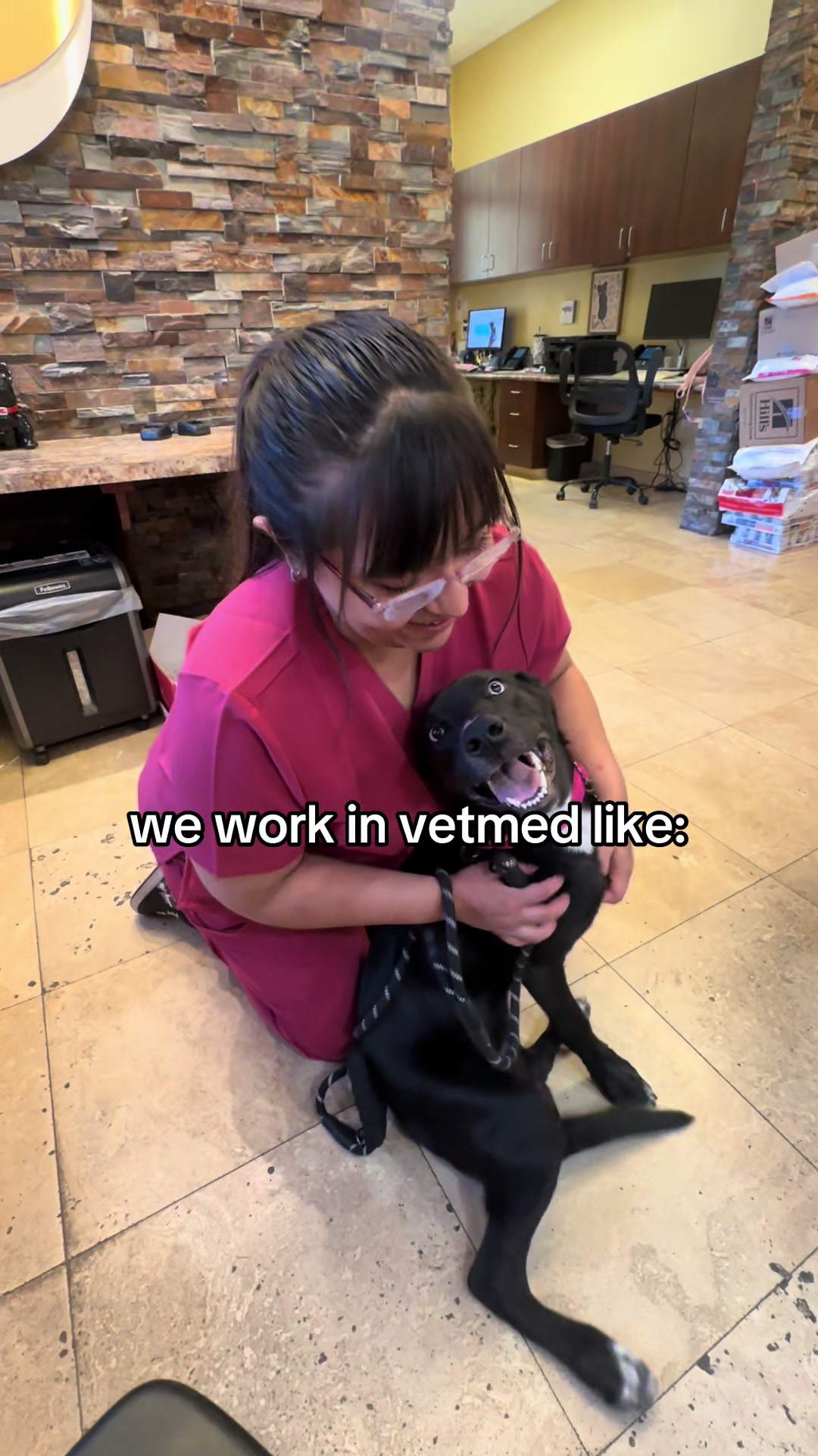 @Dreaming Summit Animal Hosp