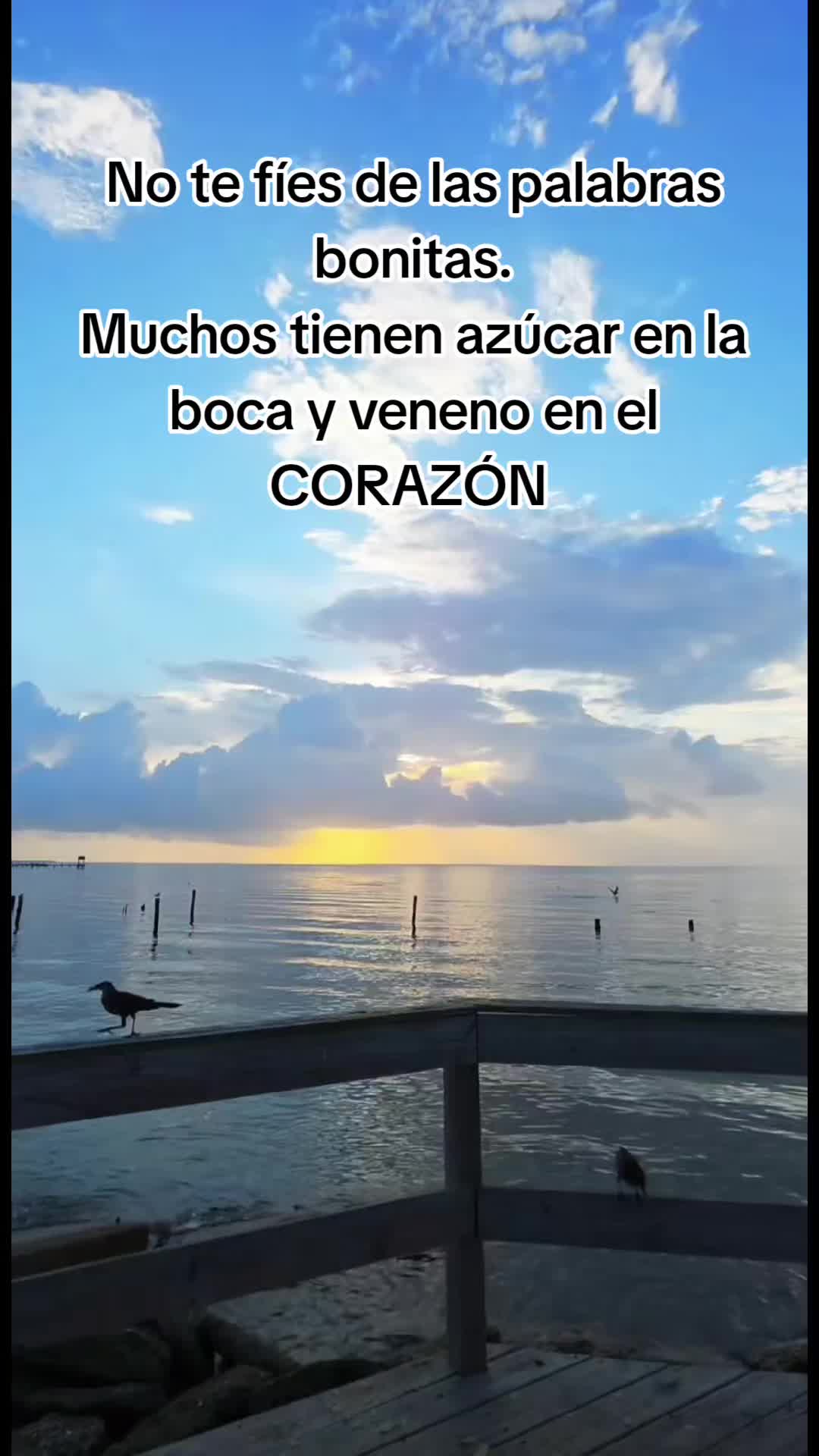 @Jonathan Morazan