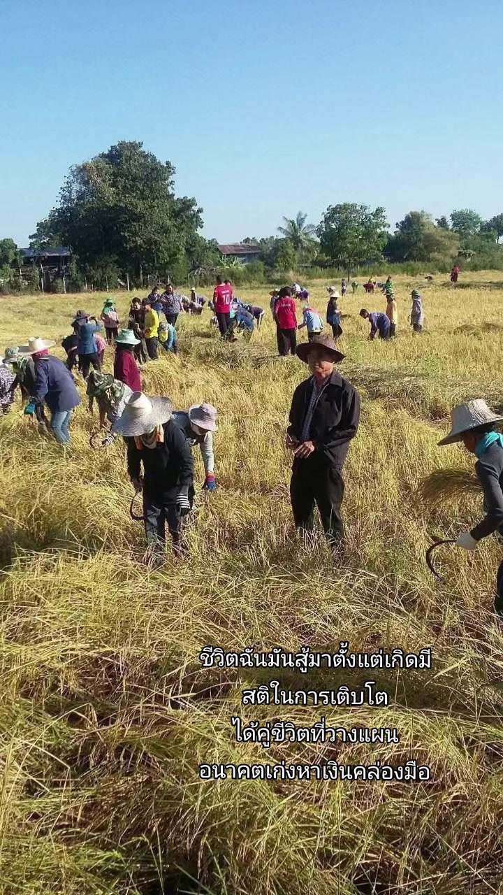 @jinutchaya4_