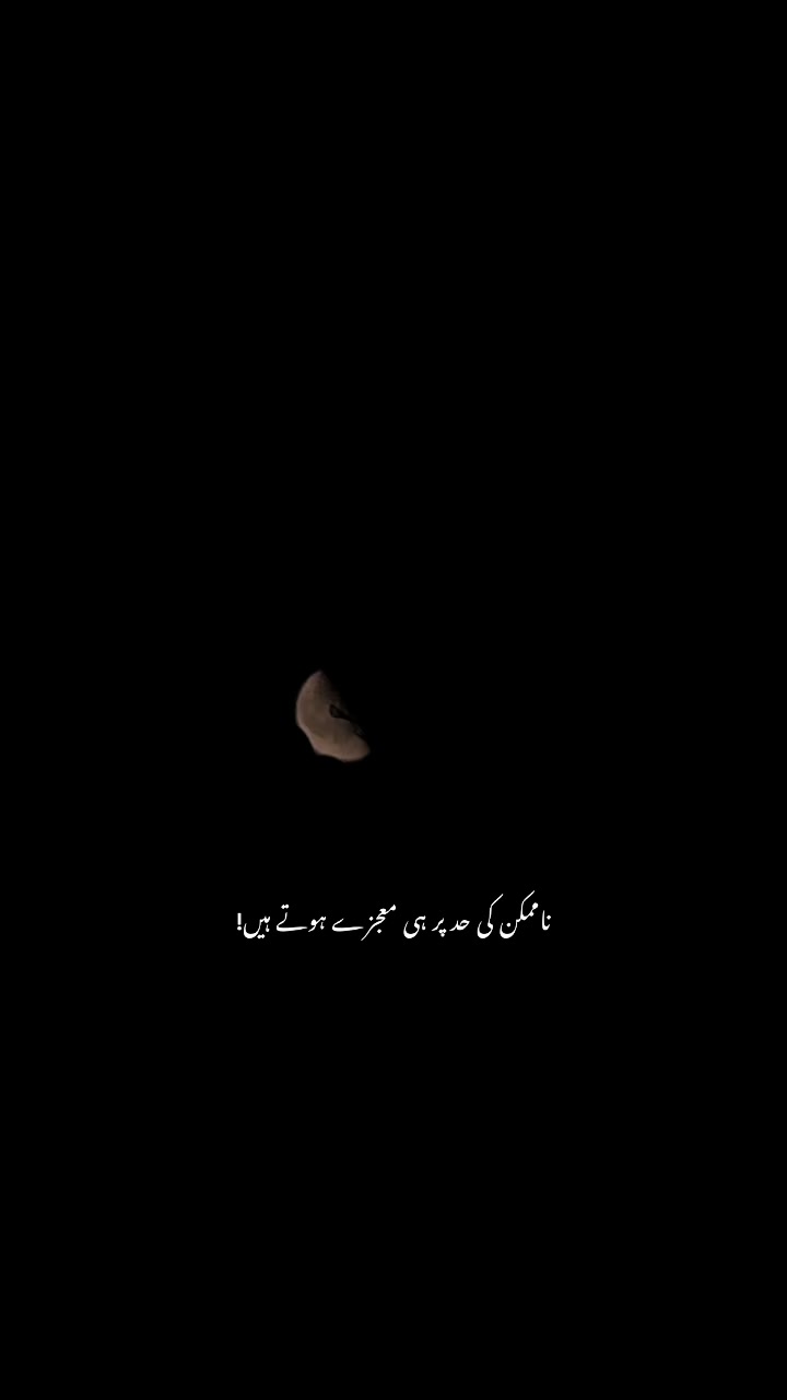 @کمیل🚩