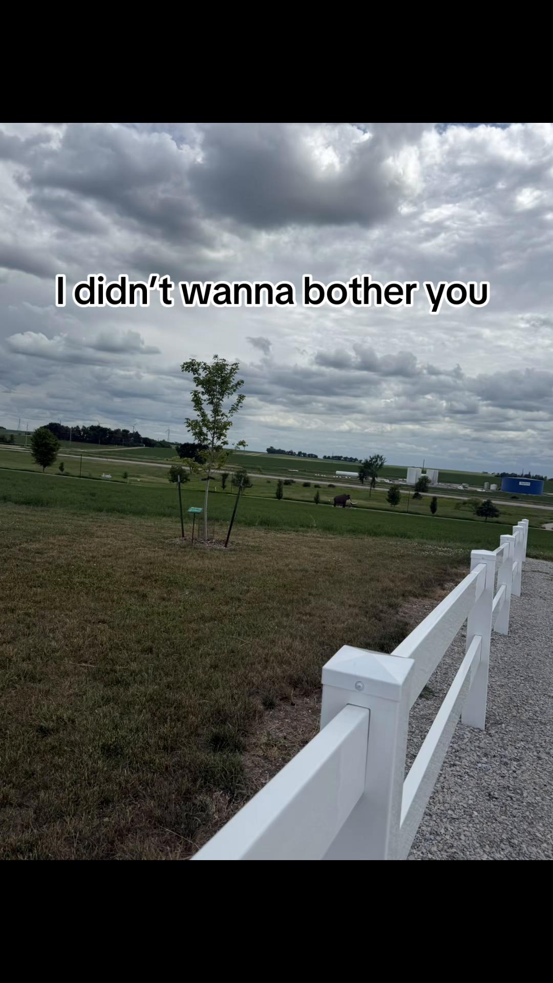 @User8683848