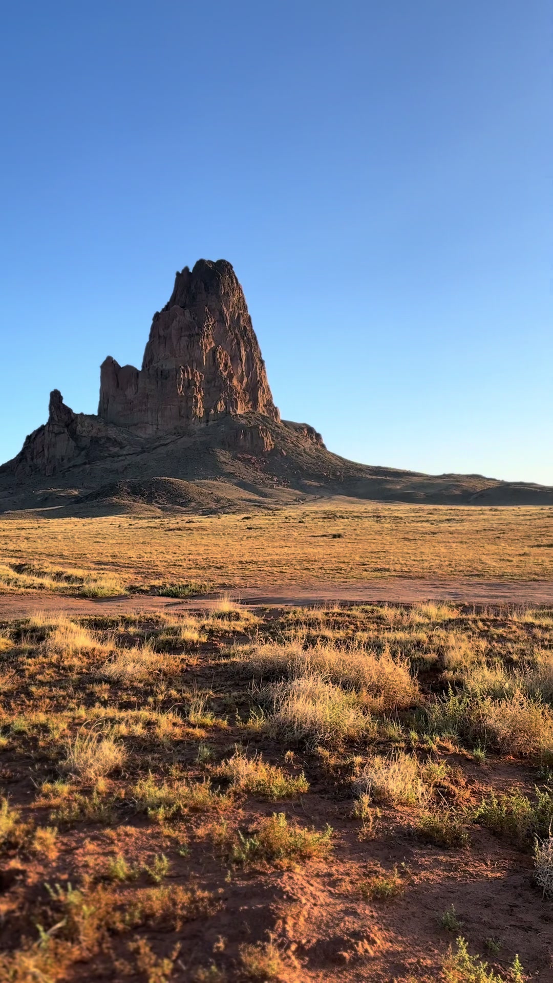 @Navajo Masani