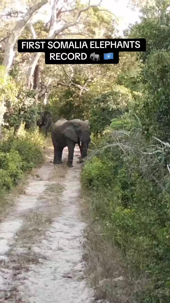 @Lag Badana C conservancy Trust