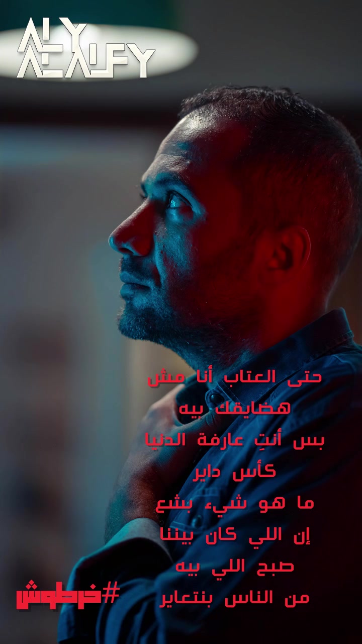 @Aly Al-Alfy