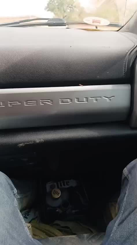 @SDFX