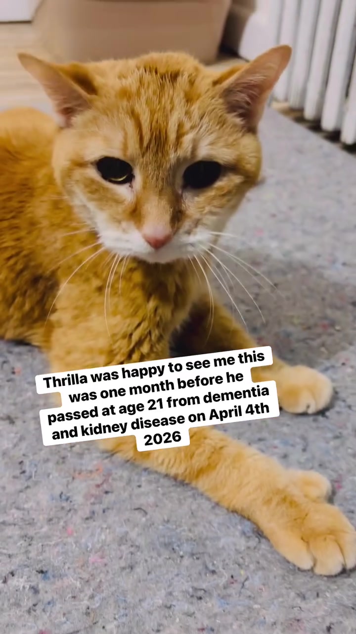 @ACatnameThrilla&aGuynamedRa
