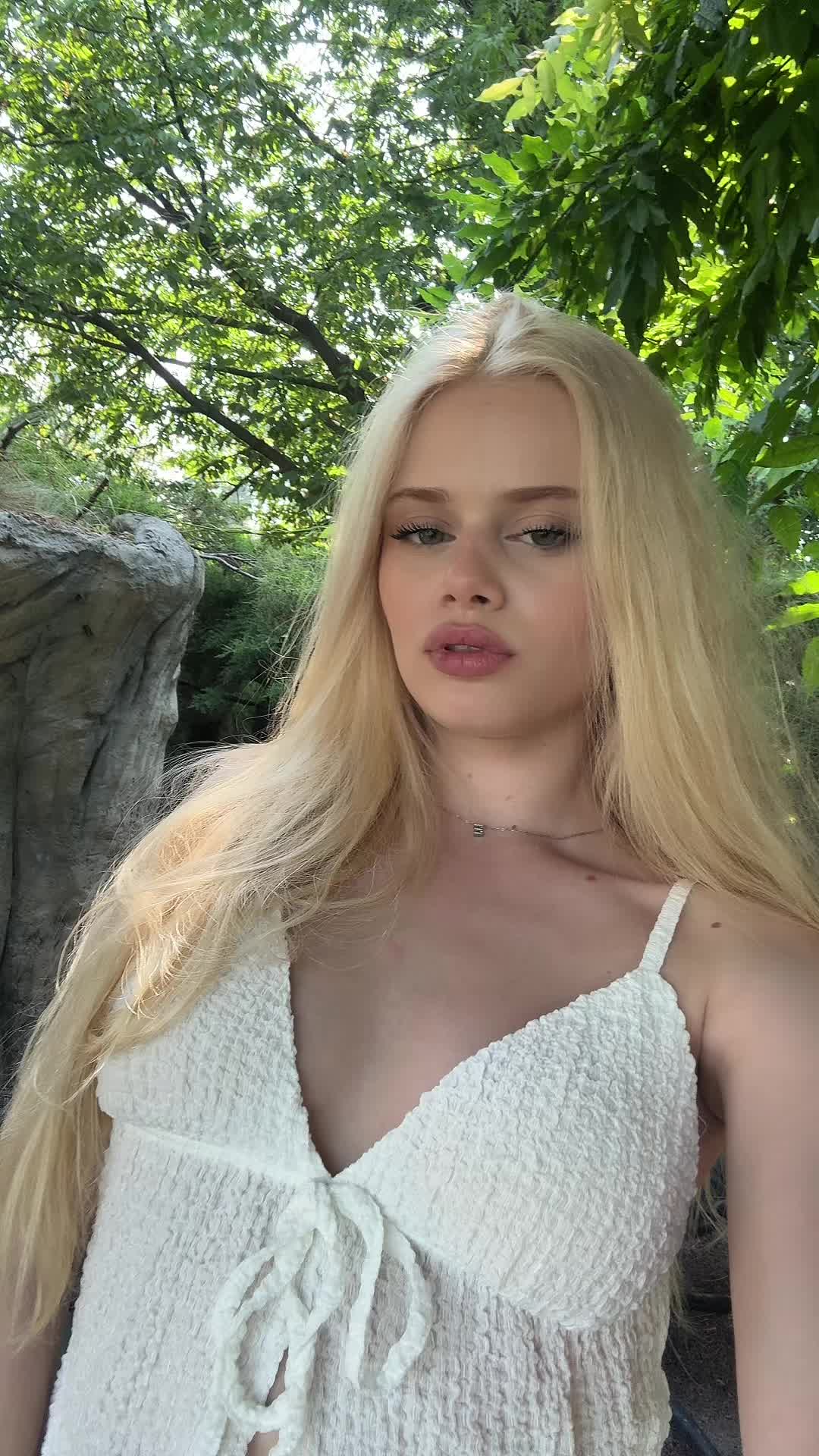 @evkaash