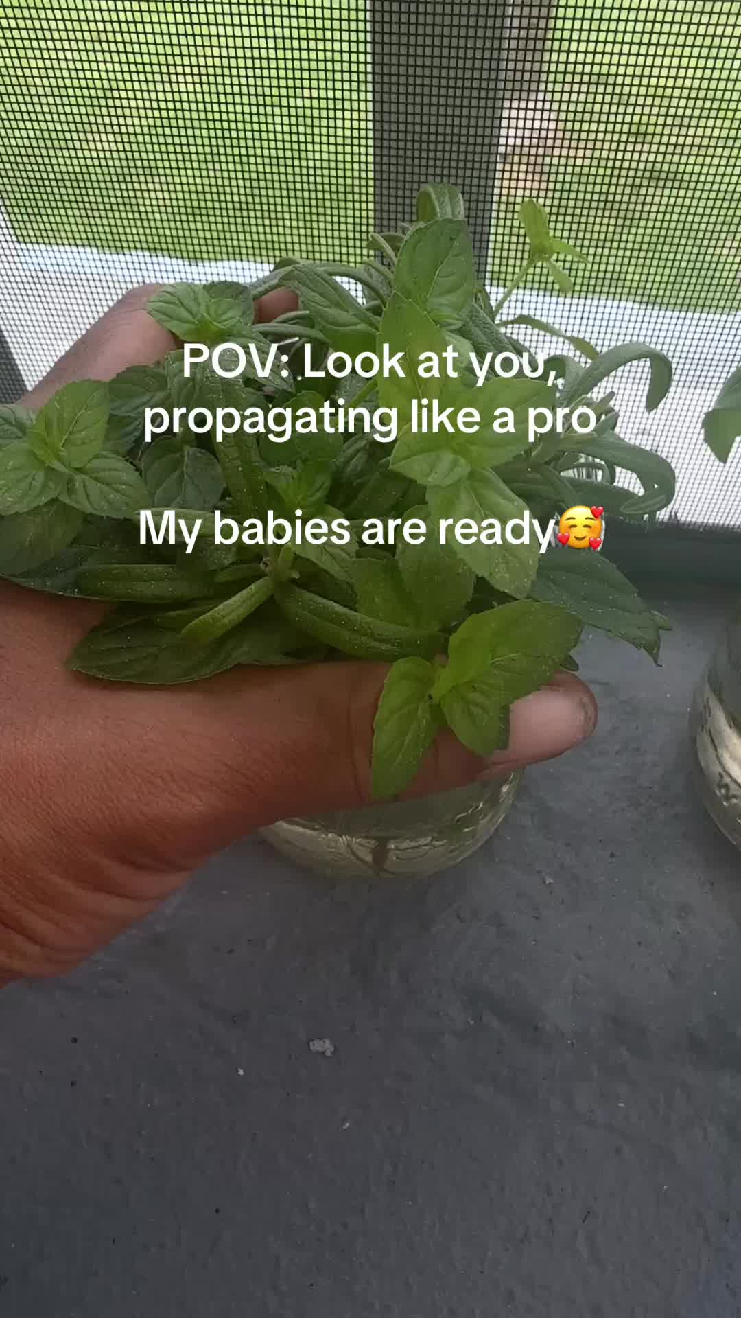 @Akua
