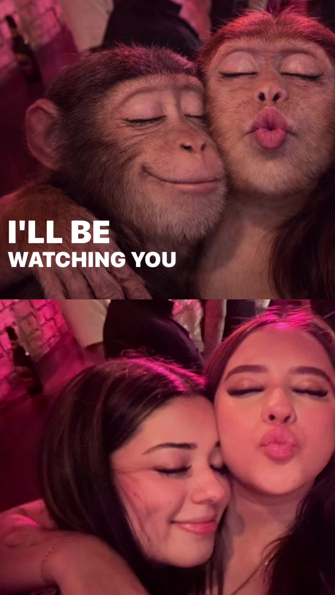 @Sofi Fernandez