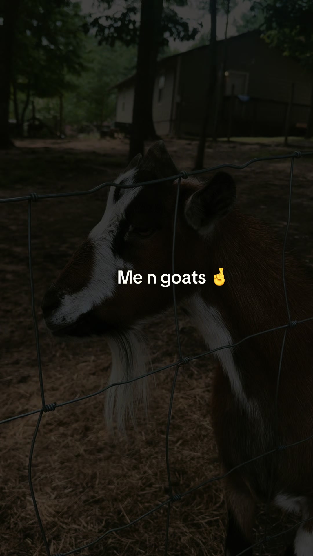 @Logan