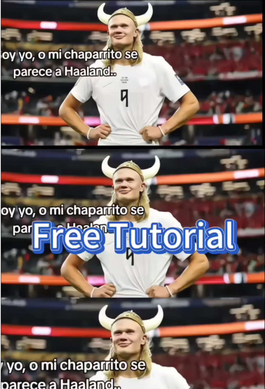 @xbus2604103036