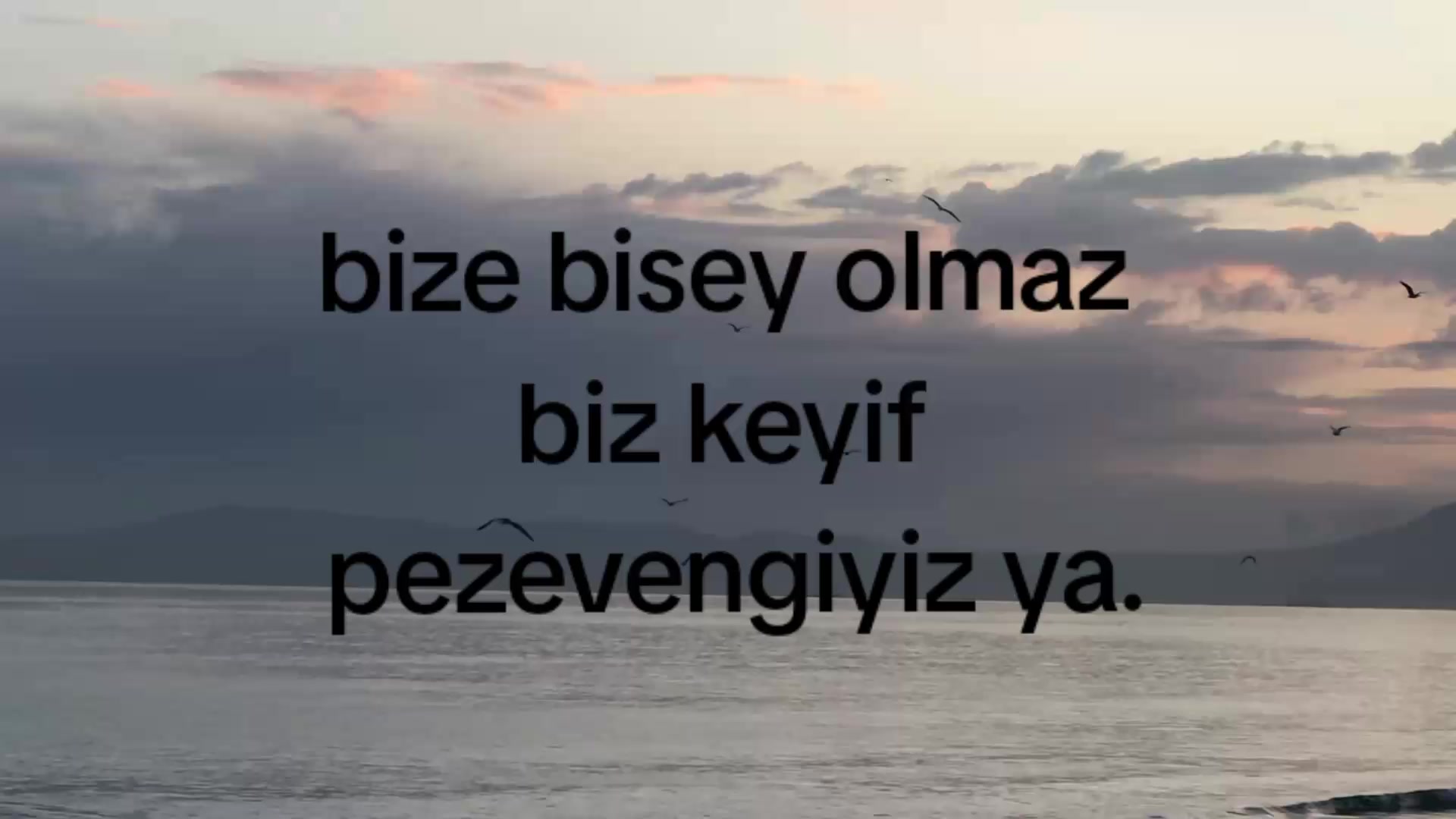 @eliflyricss.