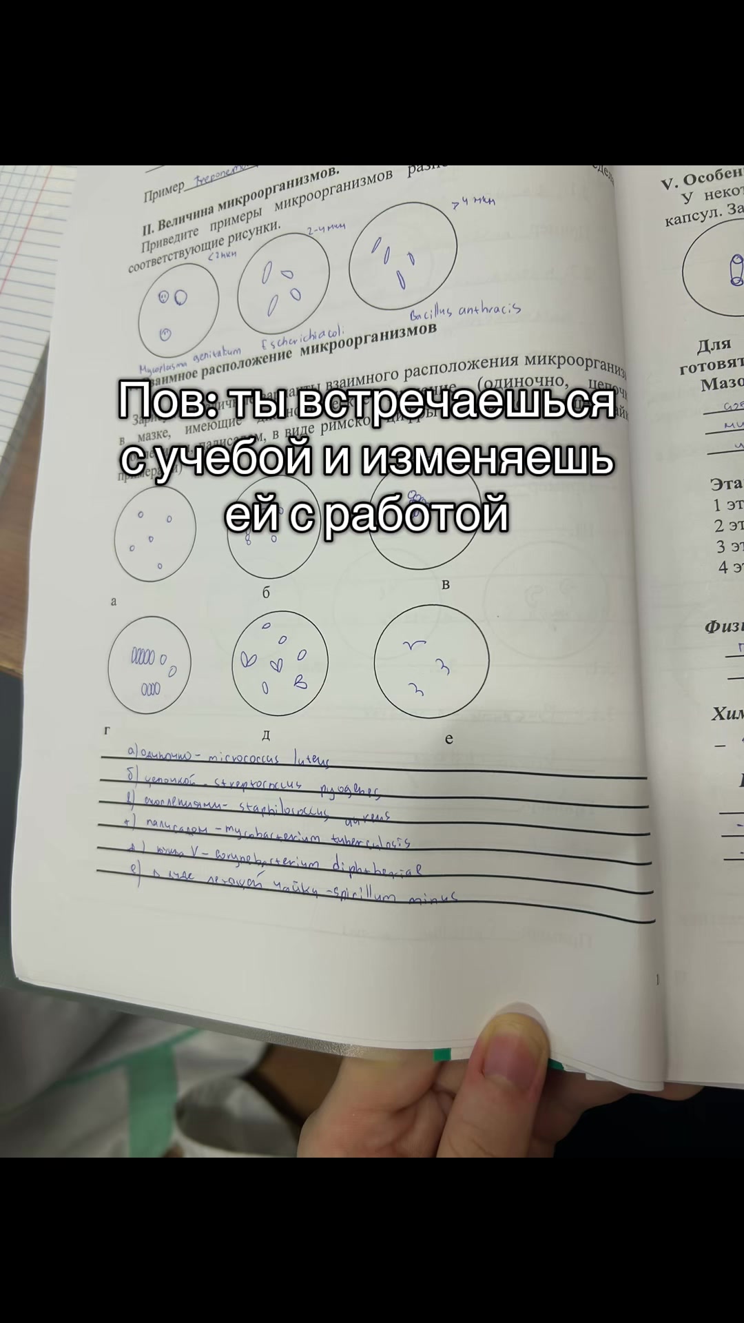 @Бельферг