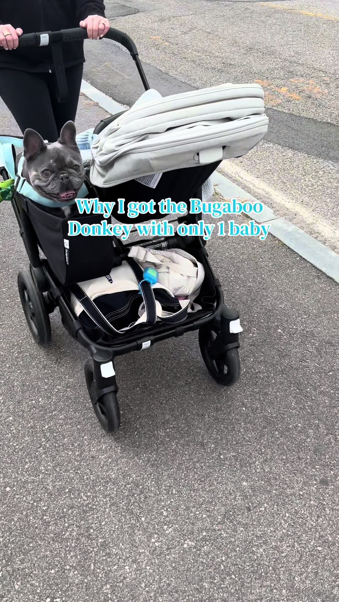 @Alexa 🫶🏻