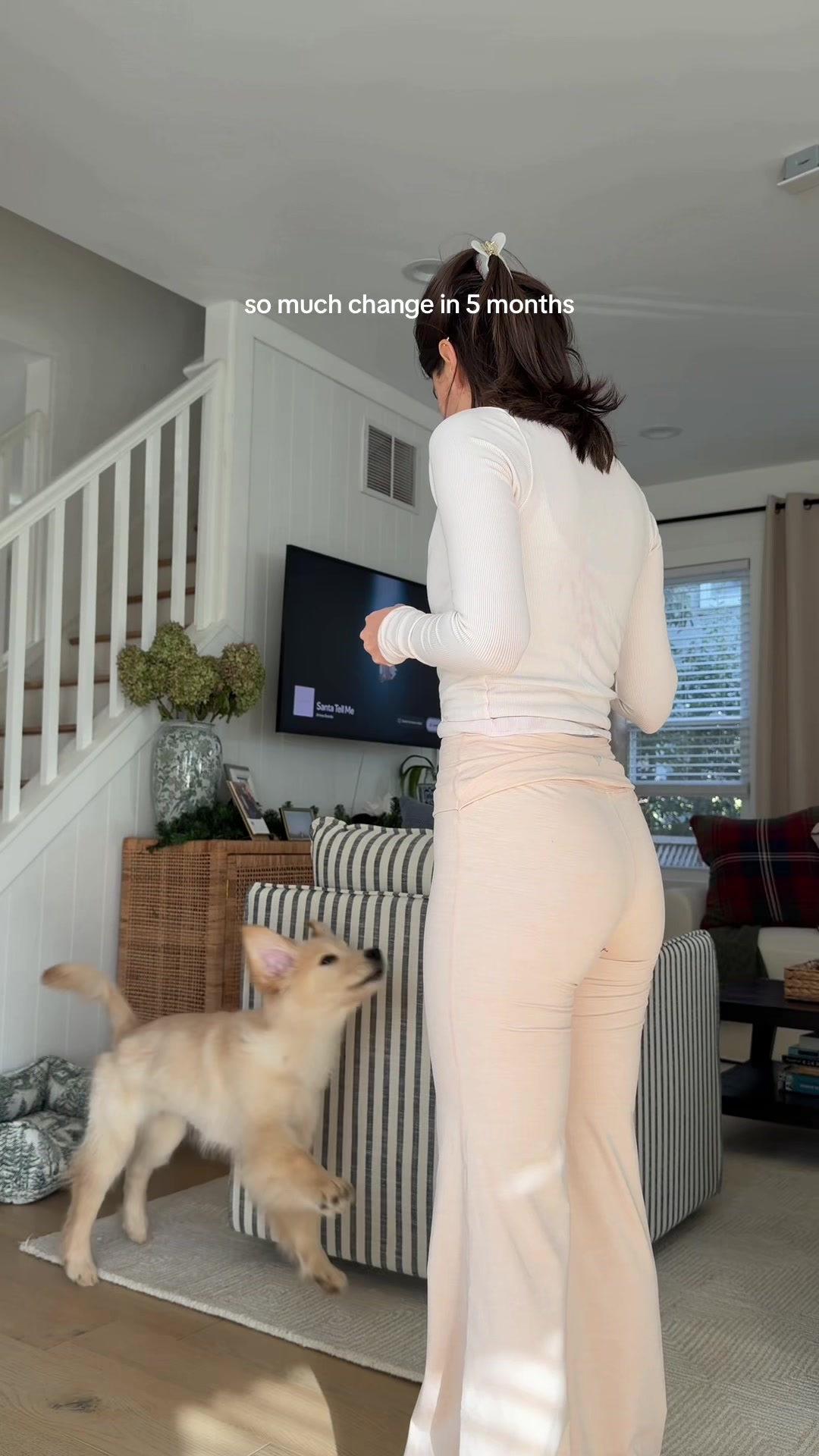 @vivianeaudi